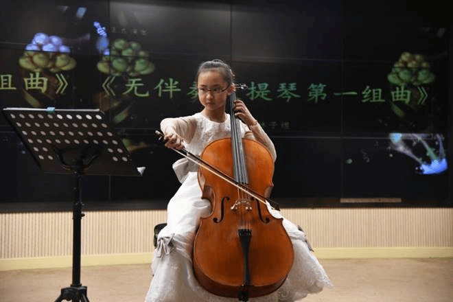 人在小提琴低可信度描述已自动生成